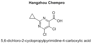 5,6-dichloro-2-cyclopropylpyrimidine-4-carboxylic acid